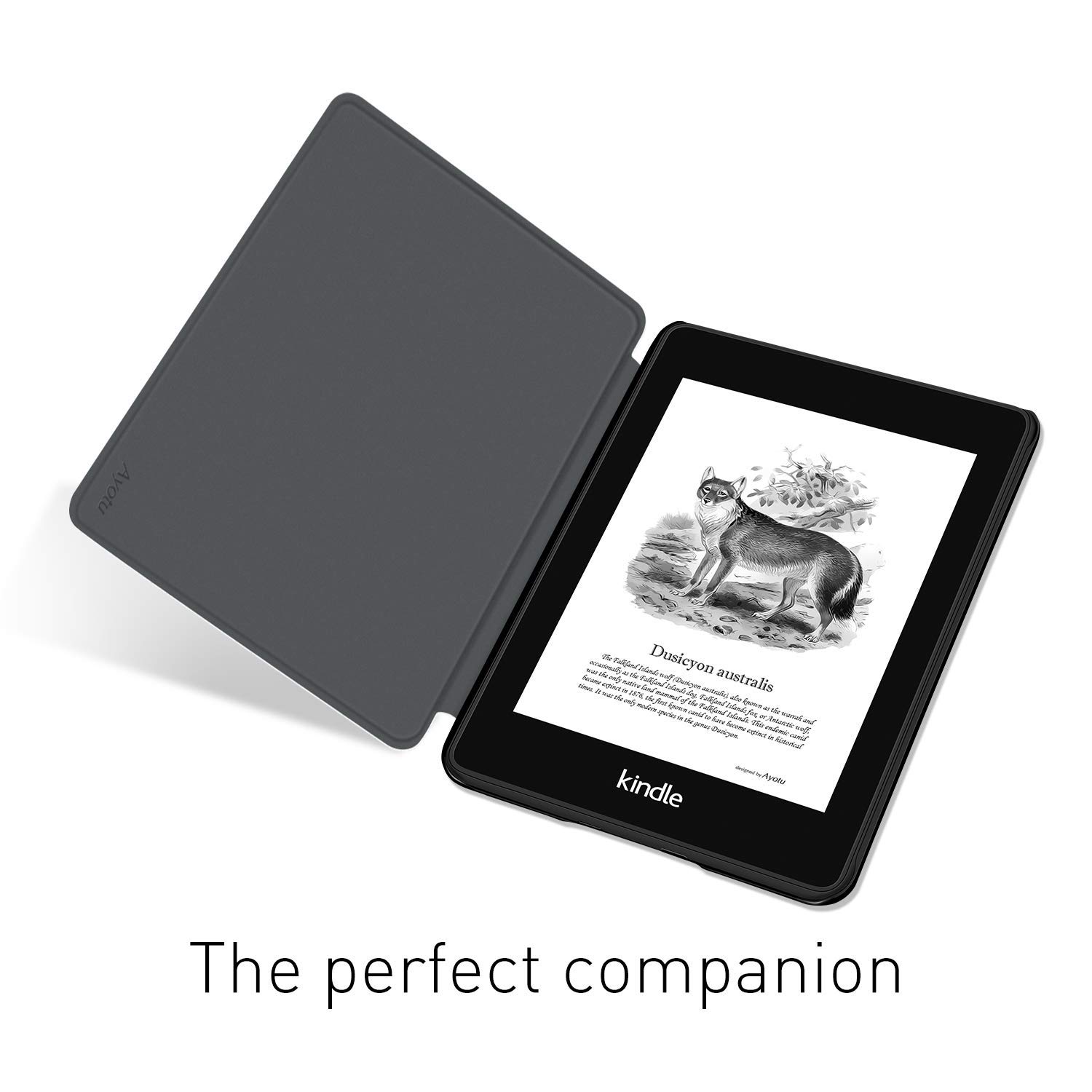 For Kindle Paperwhite 5/6/7th  - Kindle Tablet Accessories review and price
